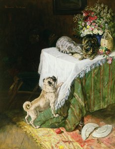 Les chats espiègles - Clemence Nielssen